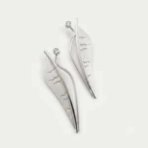 a pair of feather earrings